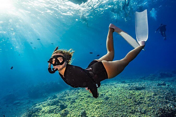 Two Site Snorkeling Adventure featuring the Molokini Crater - The Sum Up