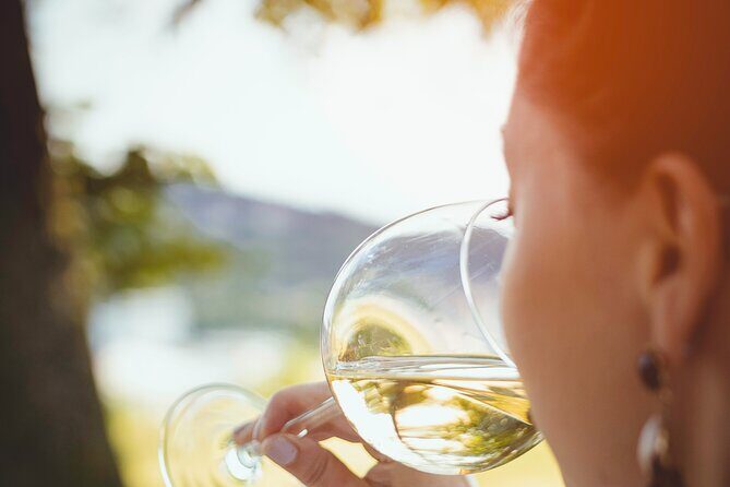 Two Wine Tastings and Visit to a Historic Cellar Inside Old Walls of Montalcino - Key Points