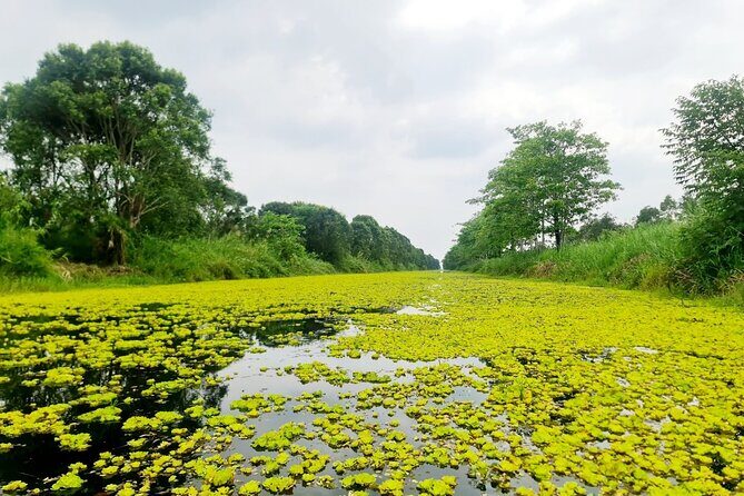 U Minh Thuong Forest and Pineapple Villages - FAQ