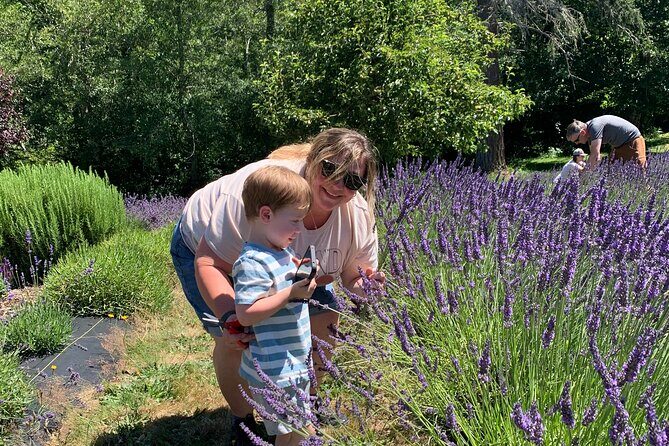 U-Pick Lavender Experience on Bainbridge Island - Who Will Love This Tour?