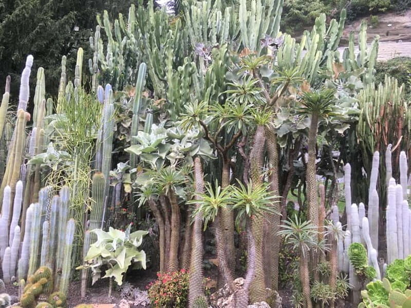 Überlingen: Private city tour with wine tasting - Key Points