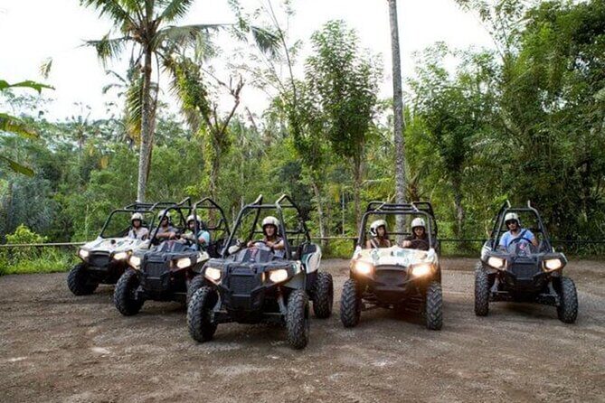 Ubud Adventure Paradise: Buggies Rafting Cycling Trekking - An In-Depth Look at Ubud Adventure Paradise