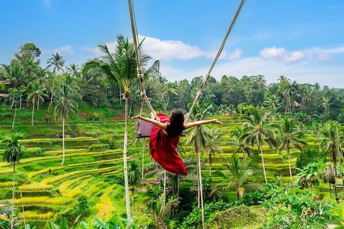 Ubud All-Inclusive Tour with Swing and Lunch - In-Depth Look at the Ubud All-Inclusive Tour