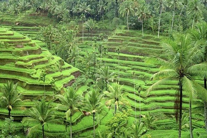 Ubud and Tanah Lot Tours - Final Thoughts