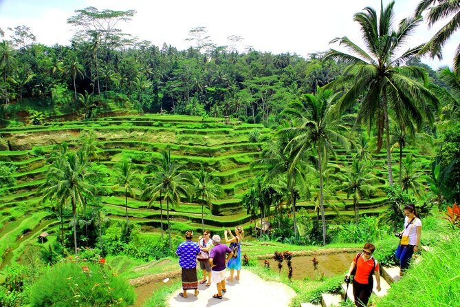 Ubud ATV Quad Bike and Kintamani Volcano Tour - Exploring the Bali ATV Quad Bike and Kintamani Volcano Tour