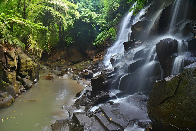 Ubud Bali: Rice Terrace, Waterfall and Tirta empul Day Tour - An In-Depth Look at the Ubud Bali Day Tour