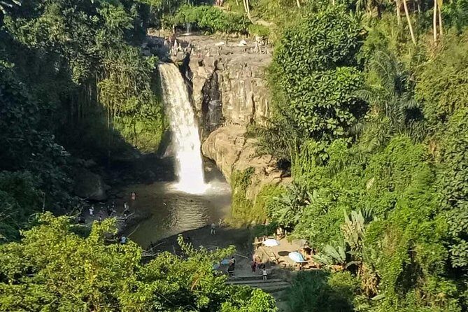 Ubud Best Tour - Who Will Love This Tour?