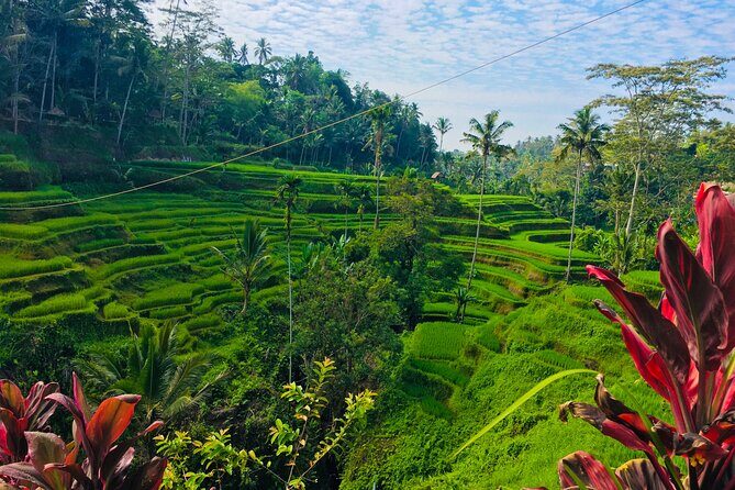 Ubud Best Tour - Final Words
