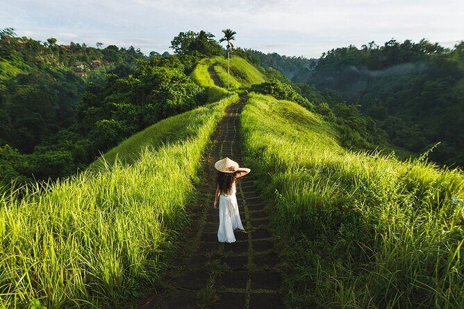 Ubud Countryside Tour: Campuhan Ridge Walk and Rice Terrace - Ubud Countryside Tour: Campuhan Ridge Walk and Rice Terrace