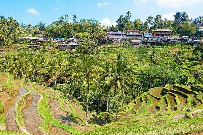 Ubud Countryside Tour: Campuhan Ridge Walk and Rice Terrace - FAQ