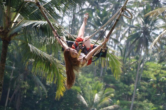 Ubud Cretya Tours and Happy Swing - A Detailed Look at the Ubud Cretya Tours and Happy Swing Experience