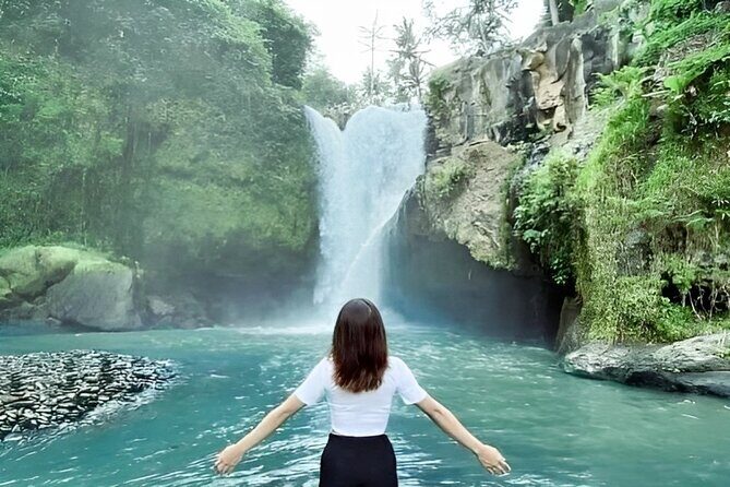 Ubud Day Tour: Sacred Monkey Forest, Tegenungan Waterfall, Rice Terrace - A Detailed Look at the Ubud Day Tour Experience