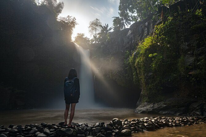 Ubud Day Tour - Top Things to do in Ubud + Local Ubud Guide - What Makes This Tour Stand Out?