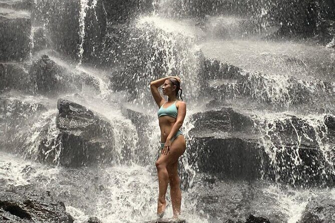 Ubud Day Tour : Waterfall, Temple and Local Night Market Tour - The Full Experience: What to Expect