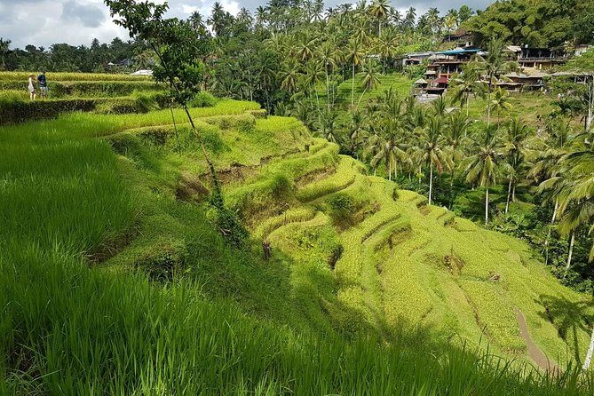 Ubud Day Tour with Lunch - Additional Details That Matter