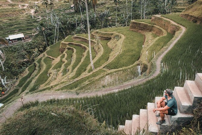 Ubud Experience - Final Thoughts
