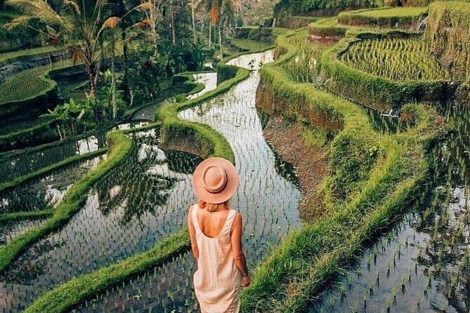 Ubud Explorer Private Day Tour - Exploring Bali’s Craft, Nature, and Spirituality in a Day