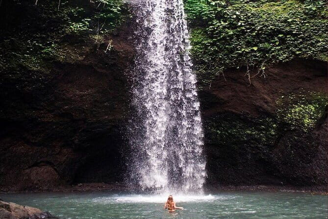 Ubud Full Day - Monkey Forest, Temple and Waterfalls Tour - Who Should Book This Tour?