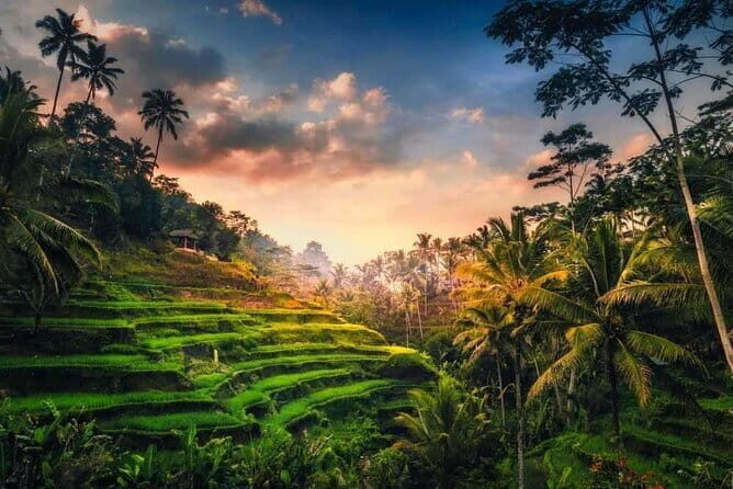Ubud Full Day Private Tour with All Inclusive - Final Thoughts: Who Should Book This Tour?