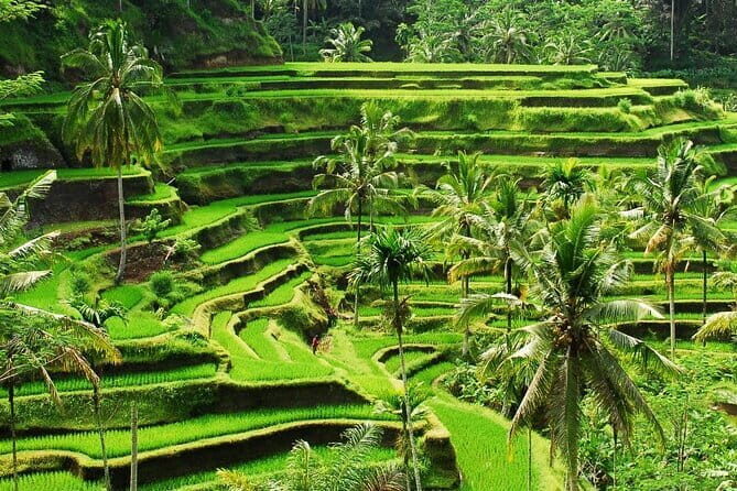Ubud Full Day Private Tour with All Inclusive - FAQ