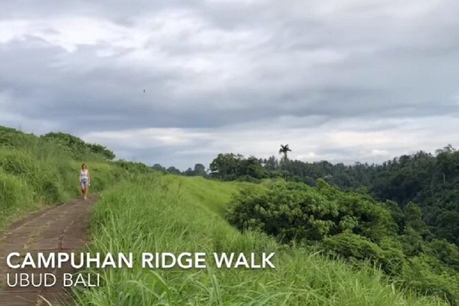 Ubud Full Day Sightseeing Private Guided Tour - Ubud Full Day Sightseeing Private Guided Tour: An Authentic Balinese Experience