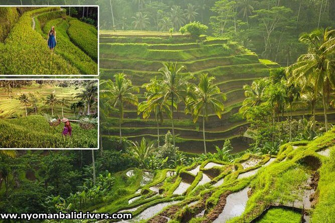 Ubud Full Day Tour - An Introduction to Ubud’s Artistic and Natural Attractions