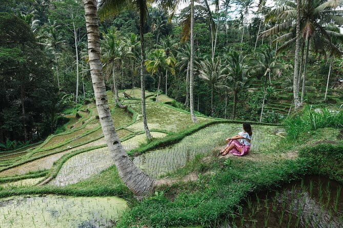 Ubud Full Day Tour: Dine, Shop, Culture & Monkey Forest - Practical Considerations & Value