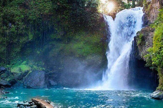 Ubud Full Day Tour Waterfall Monkey Forest Rice Terrace - What to Expect from the Ubud Full Day Tour