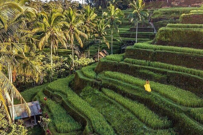 Ubud Hidden Waterfalls and Rice Terrace Tours - Practical Tips for Enjoying This Tour