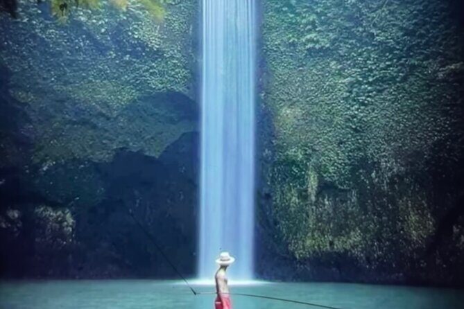 Ubud Highlight Rice Terrace,Waterfall,Temple and Art village - Who Is This Tour Best For?
