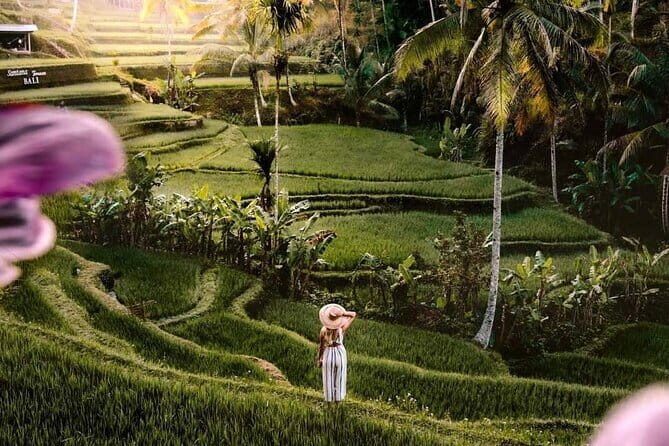 Ubud Highlights -Private Tour,Temples, Waterfalls & Rice terraces - Ubud Highlights - Private Tour, Temples, Waterfalls & Rice Terraces: A Detailed Review
