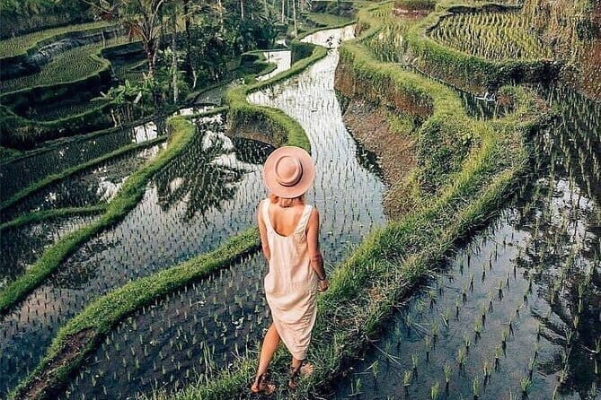 Ubud Highlights -Private Tour,Temples, Waterfalls & Rice terraces - Practical Considerations