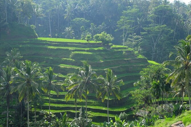 Ubud Highlights Tour ( Private All-Inclusive ) - Final thoughts