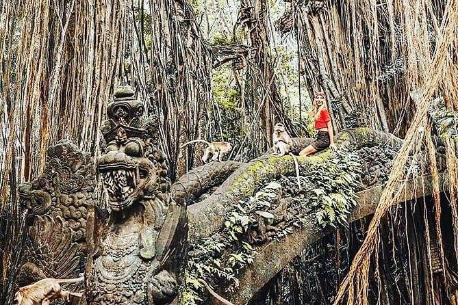 Ubud iconic waterfall and temple tours - The Voice of the Travelers: What They Love and Recommend