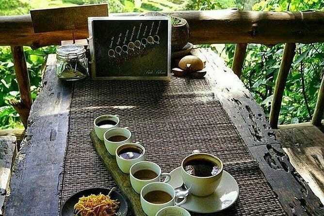 Ubud In On Day - A Deep Dive into the Ubud In On Day Tour