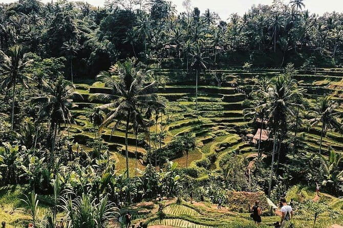 Ubud In On Day - FAQs