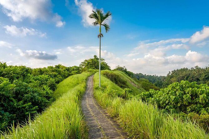 Ubud Instagram Spots Tour - One Day Private Trip - Who Is This Tour Best For?