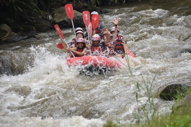 Ubud Jungle Swing and Water Rafting with Lunch Transport - The Sum Up