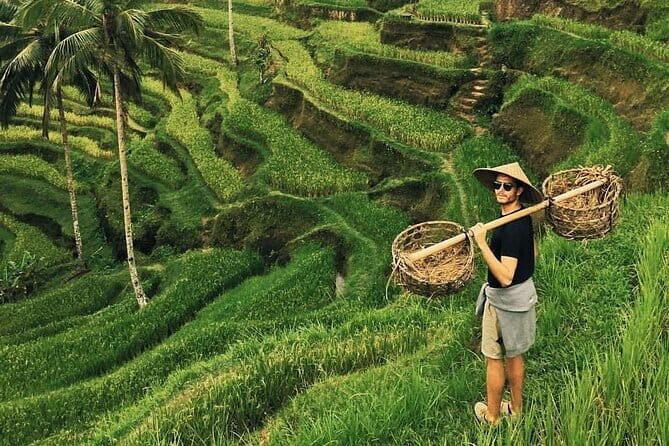 Ubud Jungle Swing - Monkey Forest - Water Temple - Waterfall - Exploring Bali’s Hidden Gems: A Detailed Review of the Ubud Jungle Swing & Cultural Tour