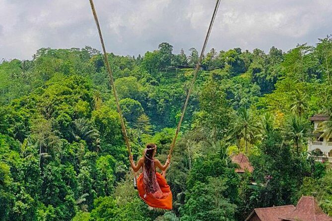 Ubud Jungle Swing, Temple & Waterfall Tour (Private Half Day Tour) - Exploring Bali in a Half-Day Package