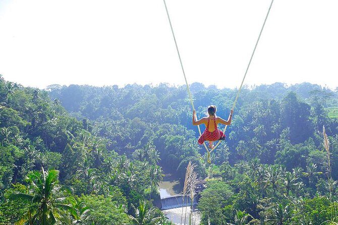 Ubud Jungle Swing, Temple & Waterfall Tour (Private Half Day Tour) - What Reviewers Say