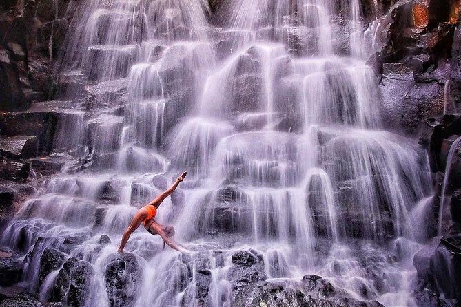 Ubud Jungle Swing, Temple & Waterfall Tour (Private Half Day Tour) - Who is This Tour For?