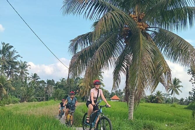 Ubud : Kintamani Downhill Cycling Tour with Lunch - Authentic Experiences and Highlights