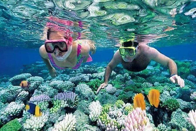 Ubud Kintamani Full Day Tour - Who Will Love This Tour