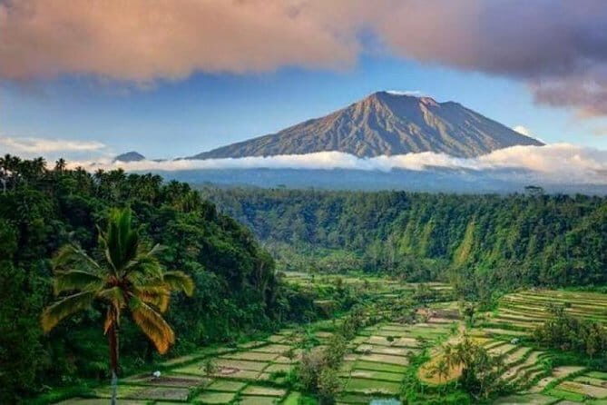 Ubud Kintamani Full Day Tour - Final Thoughts