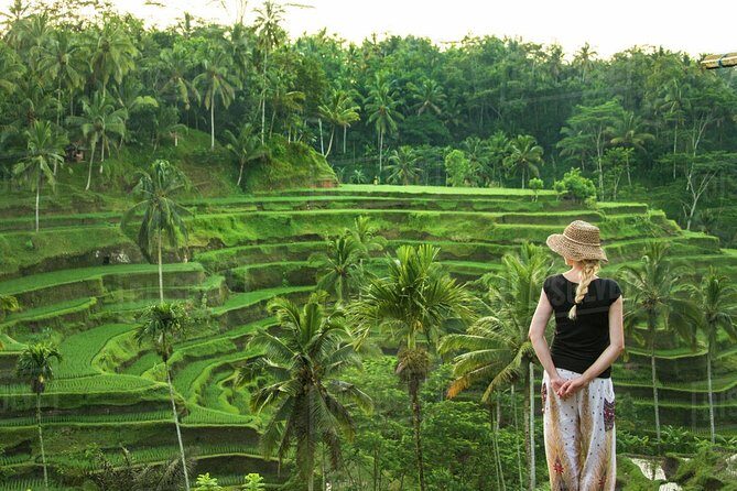 Ubud: Monkey Forest, Jungle Swing, Rice Terrace, and Water Temple - The Sum Up
