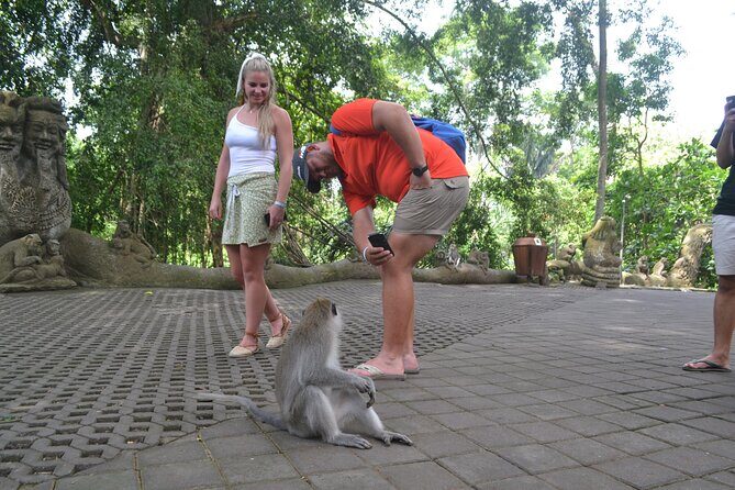 Ubud Monkey Forest Sanctuary Tours - Introduction