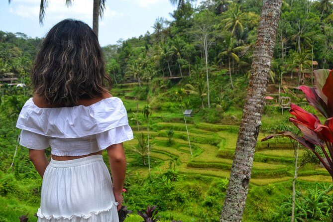 Ubud Monkey Forest Sanctuary Tours - Key Points