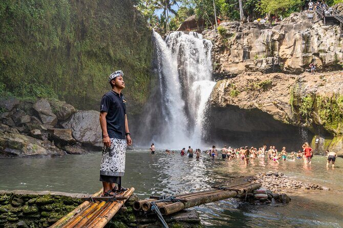 Ubud: Monkey Forest, Waterfall and Nature Exploration Tour - Ubud: Monkey Forest – Nature and Wildlife Close-up