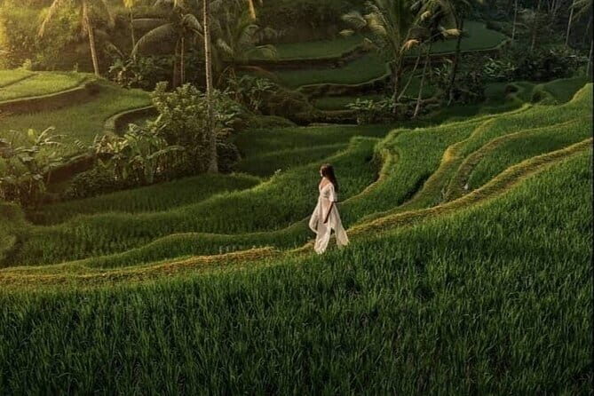 Ubud Most Iconic Waterfall, Water Temple and Rice Terrace Tour - A Deep Dive Into the Tour’s Highlights